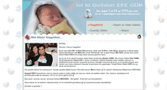 Desktop Screenshot of efeh.com