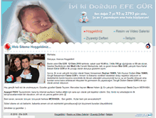Tablet Screenshot of efeh.com